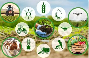Azerbaijan launches multi-billion-dollar push to transform agriculture [OPINION]