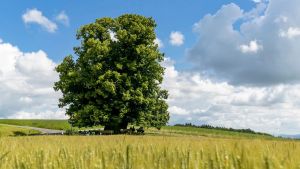 Aargau – wie nachhaltig bist du?