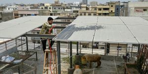 The Economic Path to Climate Justice