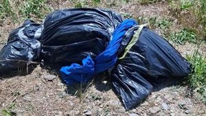 Casei Gerola, allarme per un sacco nero abbandonato: dentro c’era la carcassa di un cane