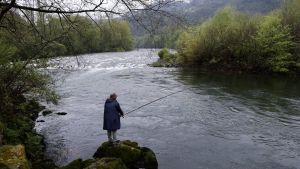 Medio Rural estudiará la veda del salmón al final de temporada en base a 