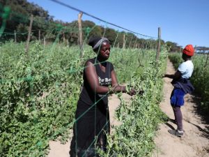 The West only discovers property rights when the landowners are white
