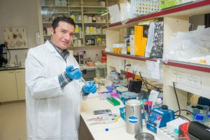 In step toward immortality, Israeli scientists say they can ‘rewind’ aging in mouse livers