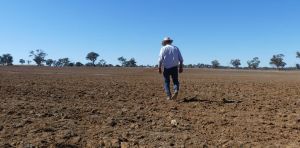Healthy soil can protect land from soaring heat. But our map shows where soil is suffering