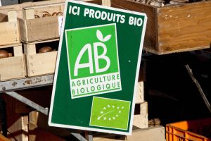 81 % de marge sur les fruits et légumes bio : comment la grande distribution inflige une double peine aux consommateurs qui veulent des aliments sains