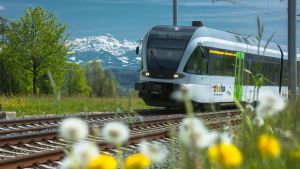 Nachfrage nach überall gültigem Bus-Bahn-Fähre-Ticket wächst, neuer Zug führt leichter um den See