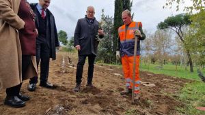 “Mai così tanti alberi a Roma”. Ma quanti sopravvivono?
