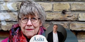 Det här är vad Agnes Wold försvarar