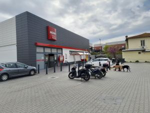 Livorno, licenziato per la 