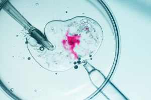 Lawsuits Challenging Embryo Disposal Could Hinder IVF