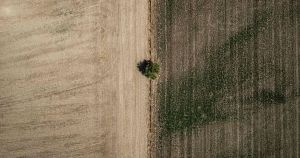 Episode de chaleur : pendant que les champs brûlent, les politiques agricoles sont à côté de la plaque