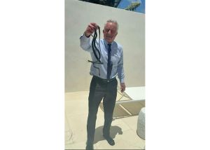 Live snakes, dead bears and brain worms: RFK Jr's wild animal antics