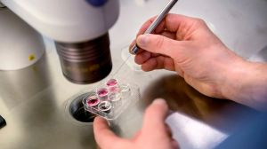 Detta måste unga förstå om sin fertilitet