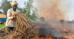 What If the Smoke Choking Delhi Every Winter Could Power a Farm Instead?