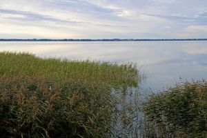 Biolog og professor: - Sammenhængende natur kan forbedre Arresø og biodiversiteten