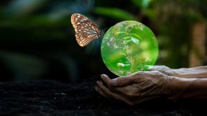 Opinion – Reimagining Democratic Systems with More-than-humans