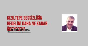 KIZILTEPE Sessizliğin Bedelini Daha Ne Kadar Ödeyecek?