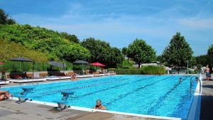 Neue Chancen für das Freibad: Gemeinderat bringt Sanierung und Förderung auf den Weg