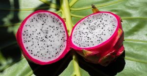 How Dragon Fruit Became India’s New Favourite Healthy Fruit, From Farms to Fitness Bowls