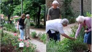 Cammino anti-stress, piante per svegliare i ricordi, la fontana e i bimbi: ecco il primo giardino pubblico per chi soffre di Alzheimer / Video