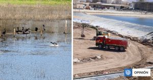 Alquimia ambiental y debates que terminan donde deberían empezar