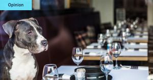 When it comes to dining, this new dog restaurant has the right idea