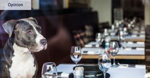 When it comes to dining, this new dog restaurant has the right idea