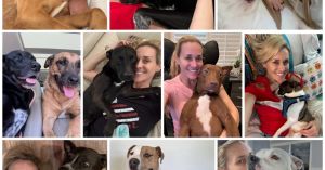 Who Rescued Whom?