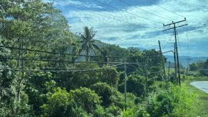 Auf Borneo hängen die Leitungen schief – und niemand stört sich daran