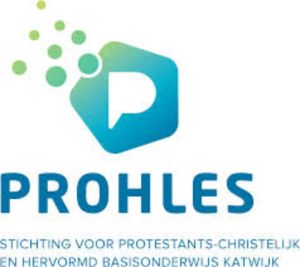 Voorzitter Raad van Toezicht en Lid Raad van Toezicht – financiële portefeuille