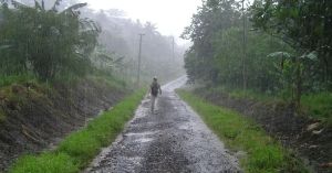 The Case for Travelling the Western Ghats in Monsoon — and Doing It the Right Way