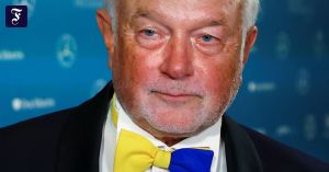 Die FDP im postliberalen Zeitalter