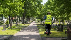 Yhteiskunta | Lukijalta: Nuoret aloittavat pian kesätyöt – olemmeko me aikuiset valmiita?