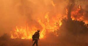 Letter: World hurtles toward environmental demise