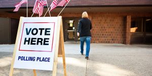In Delaware, Corporations Can Now Vote. Are We Insane?