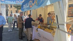 Grado sposa Friuli Doc con calici e buon cibo