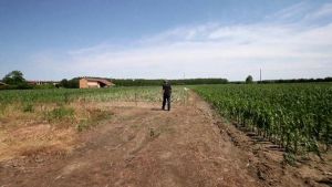 Grandinata sulla produzione di cipolla rossa, i produttori: 