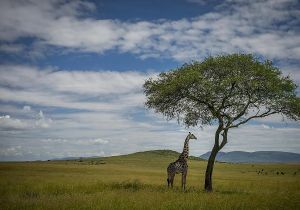 El valor geoestratégico de África