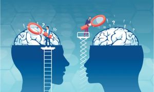 ESSAY: EMPIRE OF PROBABILITY