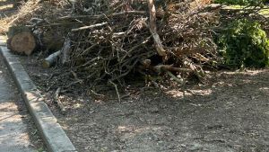 Parco urbano, il Pd attacca: 