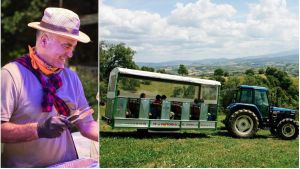 La scommessa di Giorgio: “Porto i turisti in giro con il mio agri-bus e loro adottano un ulivo”