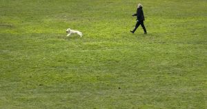 Doug Ford wants to ‘Protect Ontario’ parks? Then he should rein in off-leash dogs