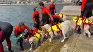 A Trieste si chiude Mare Nordest con le simulazioni delle unità cinofile