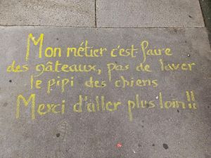 Pau : les chiens invités à uriner ailleurs que rue Monpezat