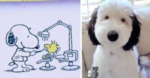 Snoopy is real: her name is Bayley and the Internet can’t get enough of her