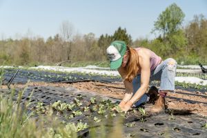 Agri Job Days: grande reclutamento nelle province di Bari, Bat e Foggia