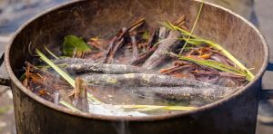 De la selva amazónica al laboratorio: el potencial de la ayahuasca contra el párkinson