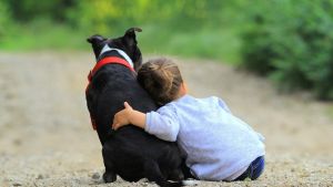 San Giorgio su Legnano, la proposta del sindaco ai proprietari di animali: “Contributo di 20 euro alle famiglia con figli”