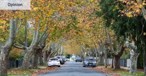 My suburb is an urban oasis, never mind the bikies. But there was the rotting cabbage smell