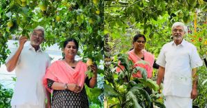 Learn Passion Fruit Cultivation From a 62-YO Who Has Been Growing It for 8 Years